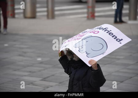 La città di New York, Stati Uniti. Il 25 febbraio, 2016. Poco protester con elefante segno. La cura degli animali gli attivisti si sono riuniti di fronte Barclay's centro per protestare sull'apertura notturna del Ringling Brothers circus contro l uso del circo e del trattamento degli animali in mostra. Credito: Andy Katz/Pacific Press/Alamy Live News Foto Stock