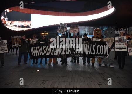 La città di New York, Stati Uniti. Il 25 febbraio, 2016. La cura degli animali gli attivisti si sono riuniti di fronte Barclay's centro per protestare sull'apertura notturna del Ringling Brothers circus contro l uso del circo e del trattamento degli animali in mostra. Credito: Andy Katz/Pacific Press/Alamy Live News Foto Stock