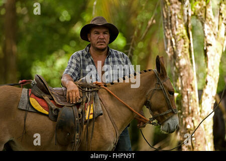 Il rancher, Costa Rica Foto Stock