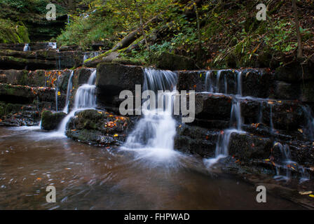 Forza Scaleber cascata dello Yorkshire Settle Regno Unito Foto Stock