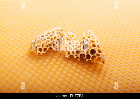 Golden apicoltura sfondo. Foto Stock