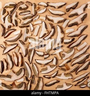 Funghi di essiccazione. Foto Stock