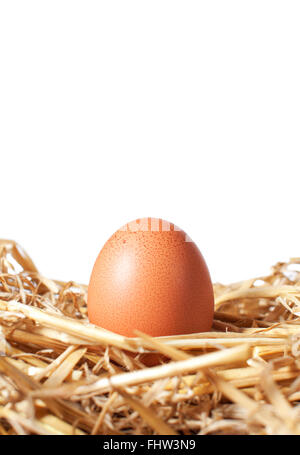 Uovo in un nido di paglia su un bianco sfondo isolato Foto Stock