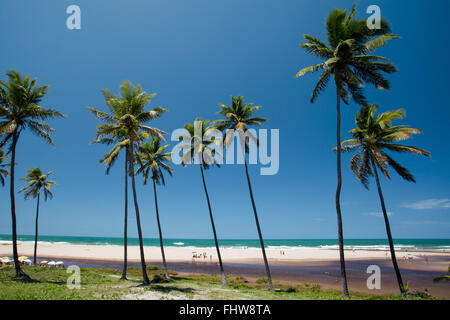 Gli alberi di cocco e la bocca del fiume sulle sabbie della spiaggia Imbassai - costa nord Foto Stock