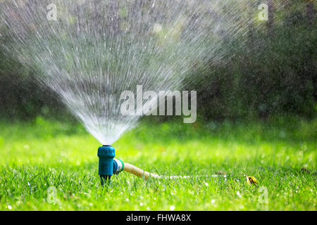 Sprinkler prato la spruzzatura di acqua su erba in giardino in un caldo giorno d'estate Foto Stock