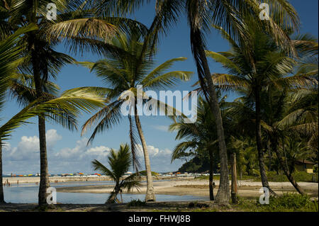 Jeribucacu Spiaggia - Costa di cacao Foto Stock