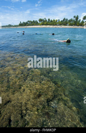 Nuotare nella piscina naturale tra le barriere coralline di spiaggia Taipu fuori Foto Stock