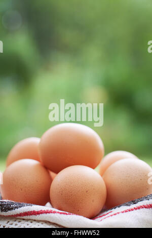 Sana le uova di pollo all'aperto su asciugamano. Profondità di campo Foto Stock