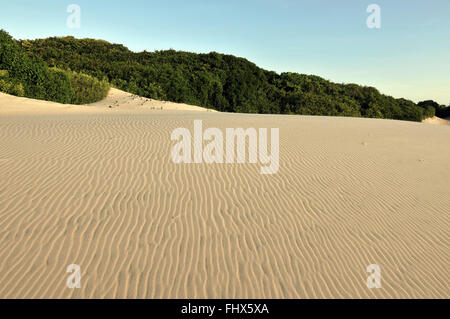 Tramonto nelle dune di Itaunas parco dello Stato nel villaggio di Itaunas Foto Stock