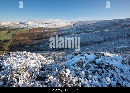 Vista sulle colline intorno a Glossop nel Derbyshire in una fredda giornata inverni. La neve sulla terra alta e la distesa di brughiera. Foto Stock