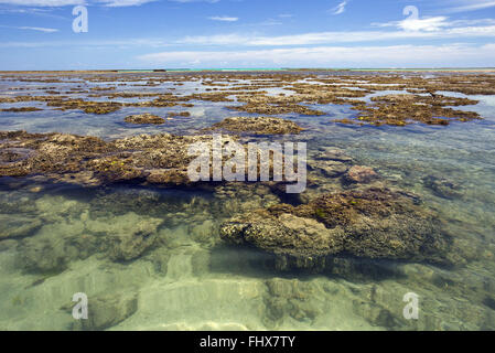 Piscine naturali formate sulle barriere coralline durante la bassa marea Foto Stock