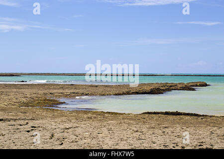 Piscine naturali formate sulle barriere coralline durante la bassa marea Foto Stock