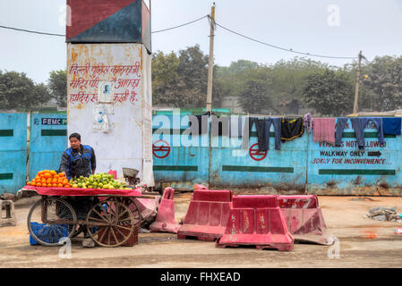 Venditore ambulante per frutta in New Delhi, India, Asia Foto Stock