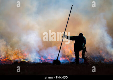 Impresa guardiacaccia bruciando controllato del heather moors, Yorkshire Foto Stock