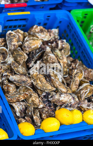 Mercato di ostriche a Cancale, Brittany, Francia. Girato con una messa a fuoco selettiva Foto Stock