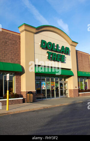 Dollar albero anteriore del negozio Foto Stock