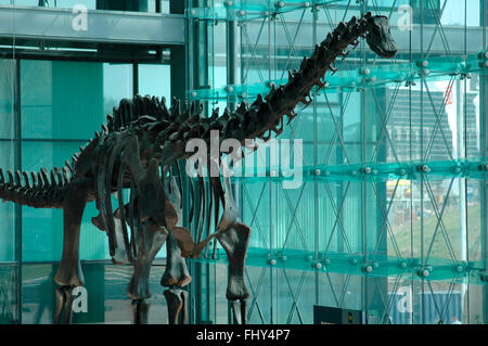 Dinosaurier-Skelett, ausgestellt im Berliner Hauptbahnhof, 19. Aprile 2007, Berlin-Tiergarten. Foto Stock