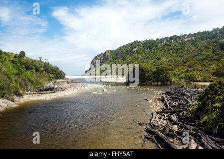 Kohaihai Foce, vicino a Karamea, la Westcoast, Nuova Zelanda Foto Stock