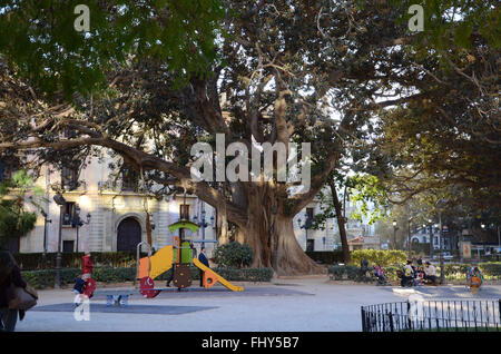 Parco locale nelle vicinanze di Plaça de la Porta de la Mar al centro di Valencia in Spagna. Foto Stock