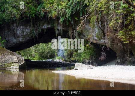 Cancello di Moria Arch, Oparara fiume, vicino Karamea, la Westcoast, Nuova Zelanda Foto Stock