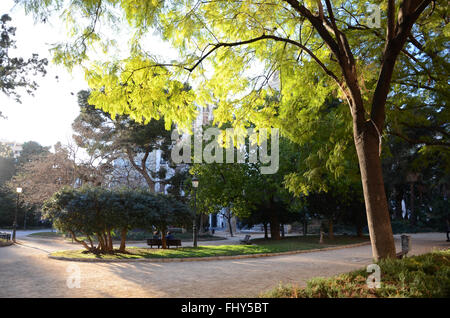 Parco locale nelle vicinanze di Plaça de la Porta de la Mar al centro di Valencia in Spagna. Foto Stock