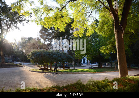 Parco locale nelle vicinanze di Plaça de la Porta de la Mar al centro di Valencia in Spagna. Foto Stock