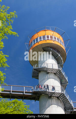 Torre dell'albero-top trail / Turm des Baumkronenpfades / Baumwipfelpfad presso il Parco Nazionale Hainich, Thüringen, Germania Foto Stock