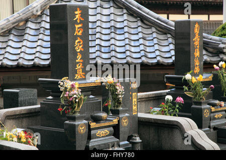Giappone, di Nagasaki, il cimitero di lapidi, giapponese iscrizioni, Foto Stock