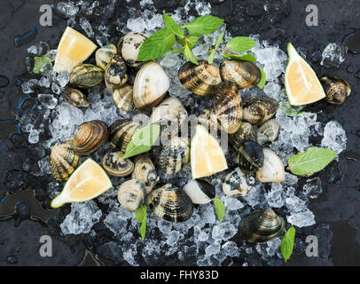 Freschi del Mediterraneo non cotte le vongole con il limone erbe e spezie su ghiaccio scheggiata su ardesia scura sullo sfondo di pietra vista superiore Foto Stock