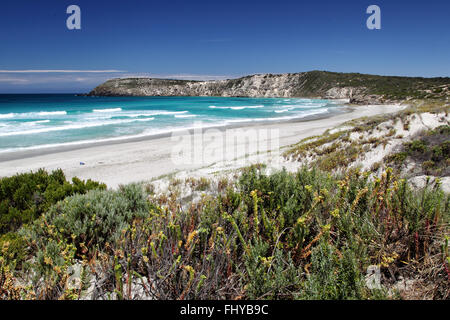 Il paesaggio costiero nella baia di Pennington sul Kangaroo Island, South Australia, Australia. Foto Stock