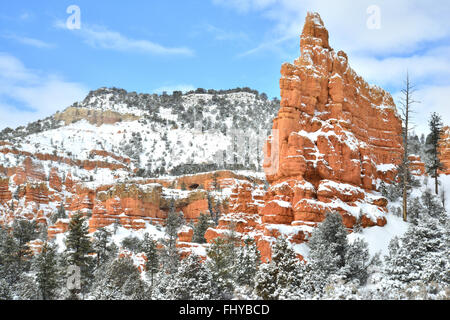 Bella neve coperto Rosso Canyon lungo la Scenic Byway 12 attraverso Dixie National Forest e vicino a Bryce Canyon in Utah sudoccidentale Foto Stock