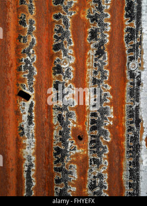 Nero Grigio grigio e marrone pattern creato da intricate incrinato perirono in vernice nera su rusty ondulato foglio di stagno Foto Stock