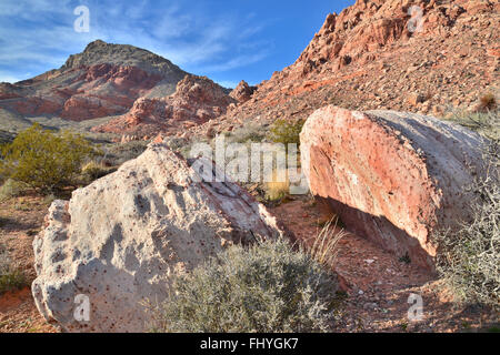 Serata al bacino di Calico e molla rossa vicino al Red Rock Canyon State Park e conservare a ovest di Las Vegas, Nevada Foto Stock