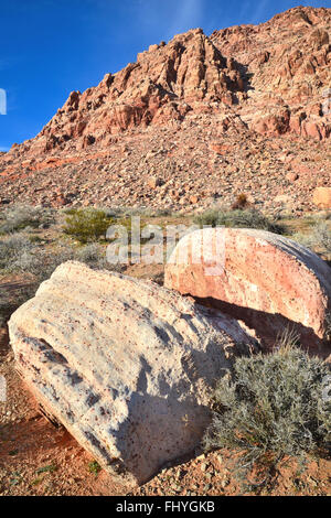 Serata al bacino di Calico e molla rossa vicino al Red Rock Canyon State Park e conservare a ovest di Las Vegas, Nevada Foto Stock