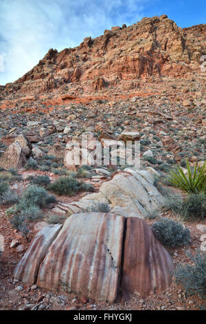 Serata al bacino di Calico e molla rossa vicino al Red Rock Canyon State Park e conservare a ovest di Las Vegas, Nevada Foto Stock