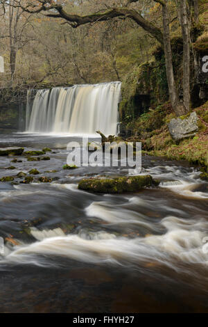 Sgwd Ddwli Uchaf circondato da fogliame autunnale in Brecon Beacons, Galles. Foto Stock