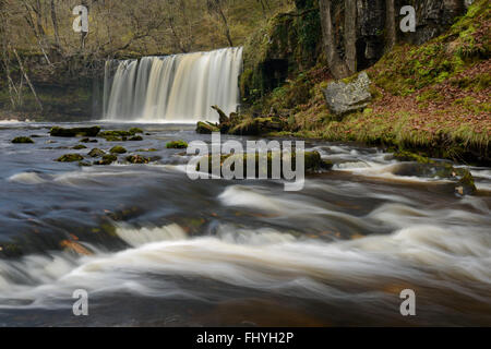 Sgwd Ddwli Uchaf circondato da fogliame autunnale in Brecon Beacons, Galles. Foto Stock