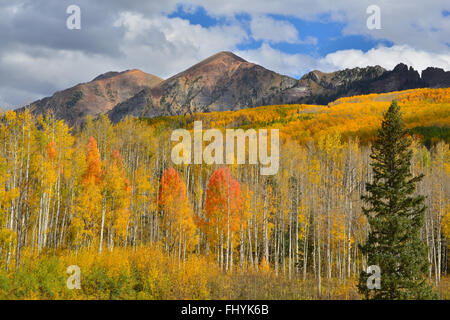 I colori dell'autunno a Kebler passare ad ovest del Crested Butte, Colorado Foto Stock