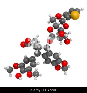 Teniposide cancro molecola di farmaco (topoisomerasi II inibitore) atomi sono rappresentati come sfere e sono codificati a colori: idrogeno Foto Stock