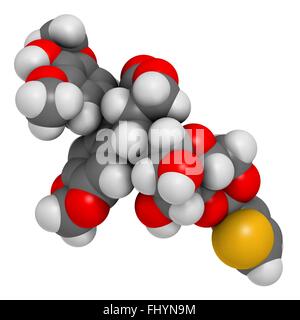 Teniposide cancro molecola di farmaco (topoisomerasi II inibitore) atomi sono rappresentati come sfere e sono codificati a colori: idrogeno Foto Stock