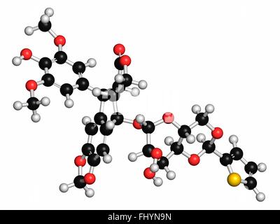 Teniposide cancro molecola di farmaco (topoisomerasi II inibitore) atomi sono rappresentati come sfere e sono codificati a colori: idrogeno Foto Stock