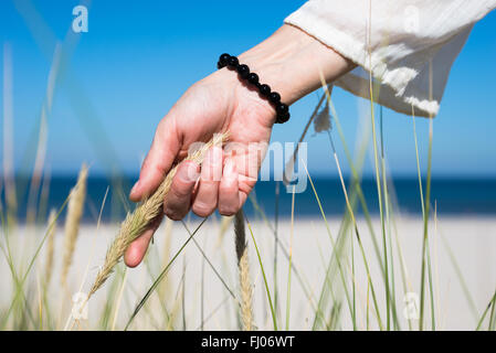 Donna di slitta a mano attraverso le dune di graminacee in presenza di luce solare sulla costa del mare Foto Stock