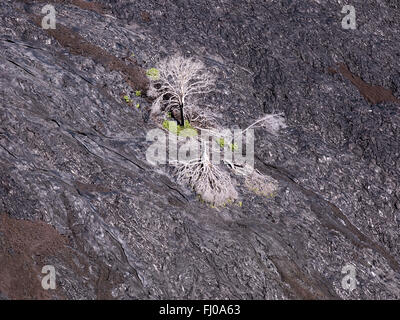 Roccia lavica nella formazione delle Hawaii Il Parco Nazionale del Vulcano Foto Stock