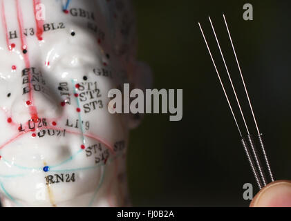 Berlino, Germania. Il 25 febbraio, 2016. Aghi di agopuntura detenute fino nella parte anteriore di un modello di agopuntura a Berlino, Germania, 25 febbraio 2016. Foto: Jens KALAENE/dpa/Alamy Live News Foto Stock