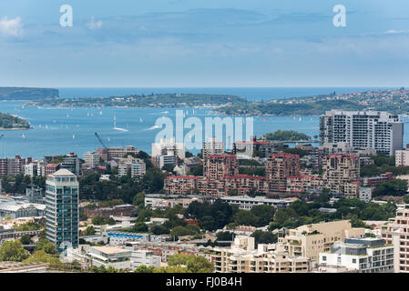 Il porto di Sydney con barche e yacht e edifici adiacenti da altezza Foto Stock