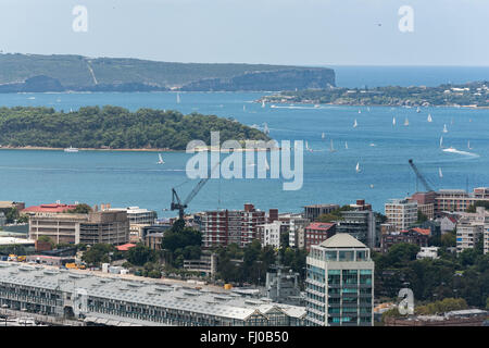 Il porto di Sydney con barche e yacht e edifici adiacenti da altezza Foto Stock