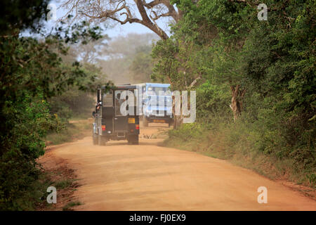 Safari veicolo, gamedrive con turisti in Yala Nationalpark, Yala Nationalpark, Sri Lanka, Asia Foto Stock