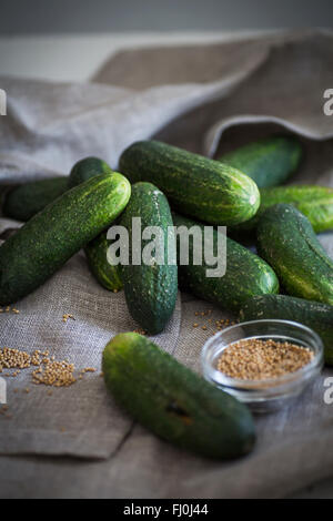 Cetrioli e semi di senape come ingrediente per sottaceti Foto Stock
