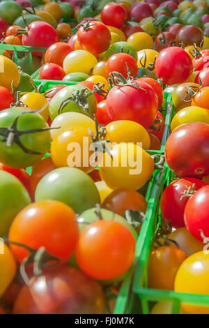 Mercato agricolo - primo piano di pomodori verdi, arancioni, rossi e gialli del telaio - locale stand fattoria in stile vegano Santa Monica / vegetariano stile di vita Foto Stock