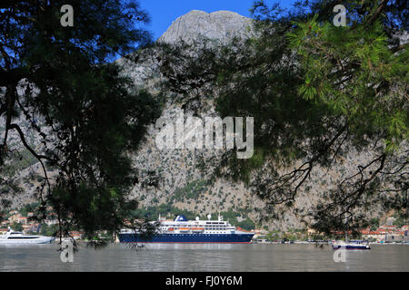 Vista panoramica di Kotor, Montenegro Foto Stock